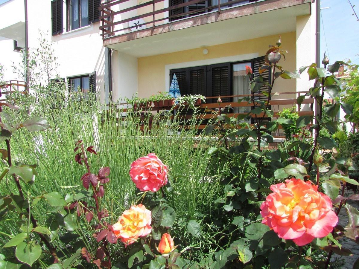 אומאג Mirela House With Apartment מראה חיצוני תמונה
