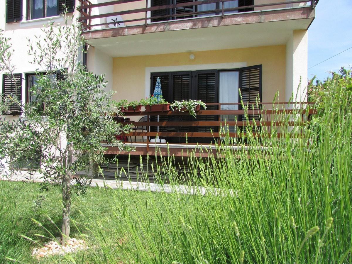 אומאג Mirela House With Apartment מראה חיצוני תמונה